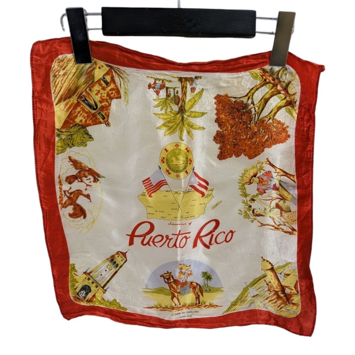Comme des Garcons × Comme des Garcons Homme Plus Puerto Rico Scarf Size ONE SIZE - 1 Thumbnail