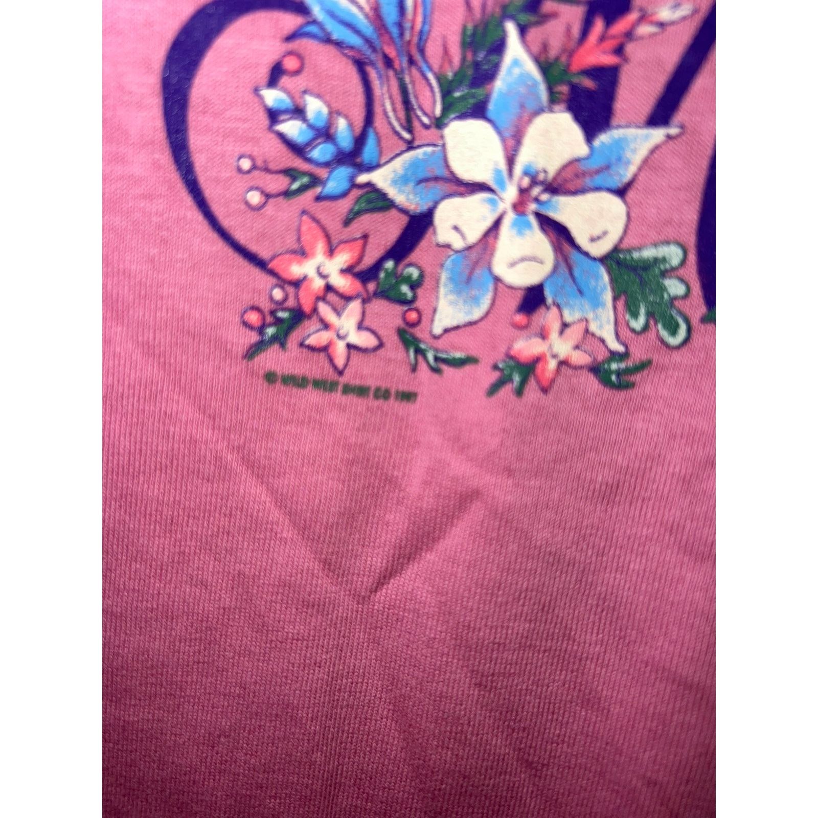 Jerzees Vintage Montana Pink Shirt Nature Pink Graphic Tee 90s VTG L Size US L / EU 52-54 / 3 - 5 Thumbnail