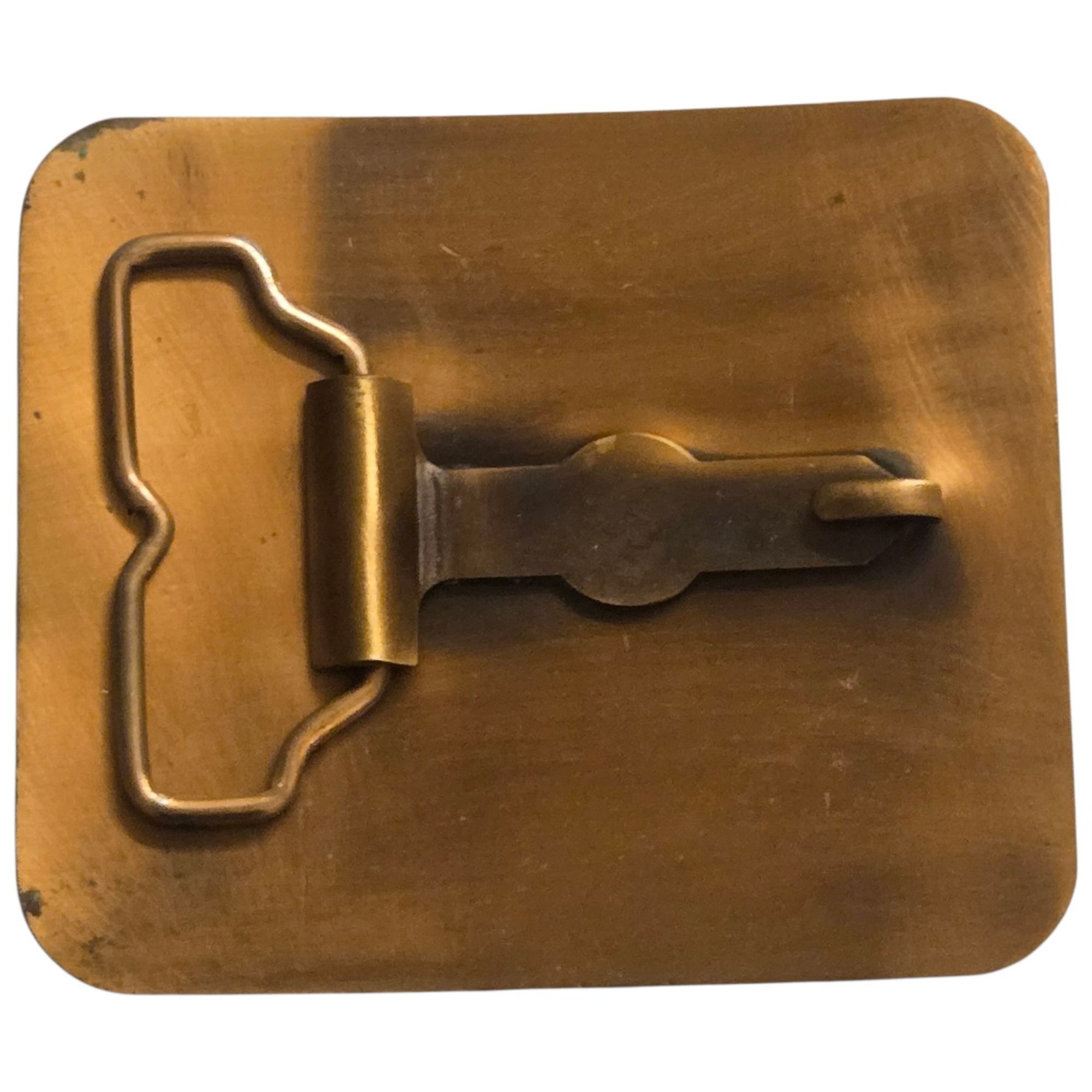Other Northrup King Belt Buckle Seed Company Centennial Advertisin Size ONE SIZE - 2 Thumbnail