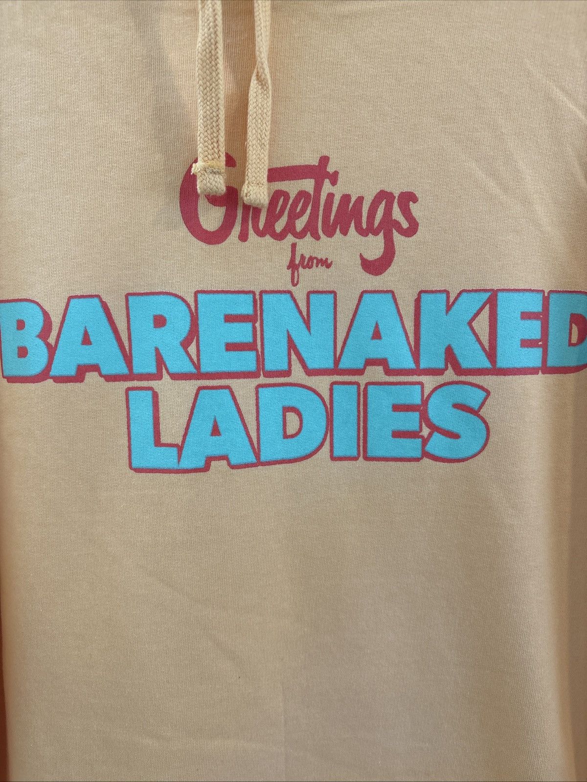 Other Barenaked Ladies 2023 Hoodie Greetings From Last Summer XL Size US XL / EU 56 / 4 - 4 Thumbnail
