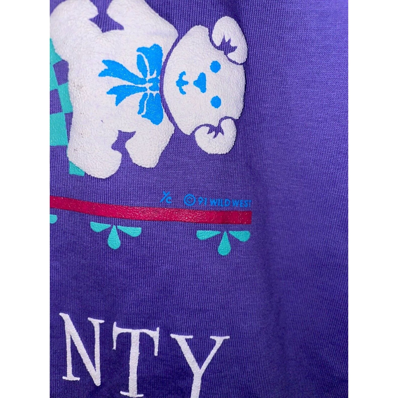 Jerzees Vintage Door County Shirt Teddy bear Purple Tee VTG 90s L Size US L / EU 52-54 / 3 - 6 Thumbnail