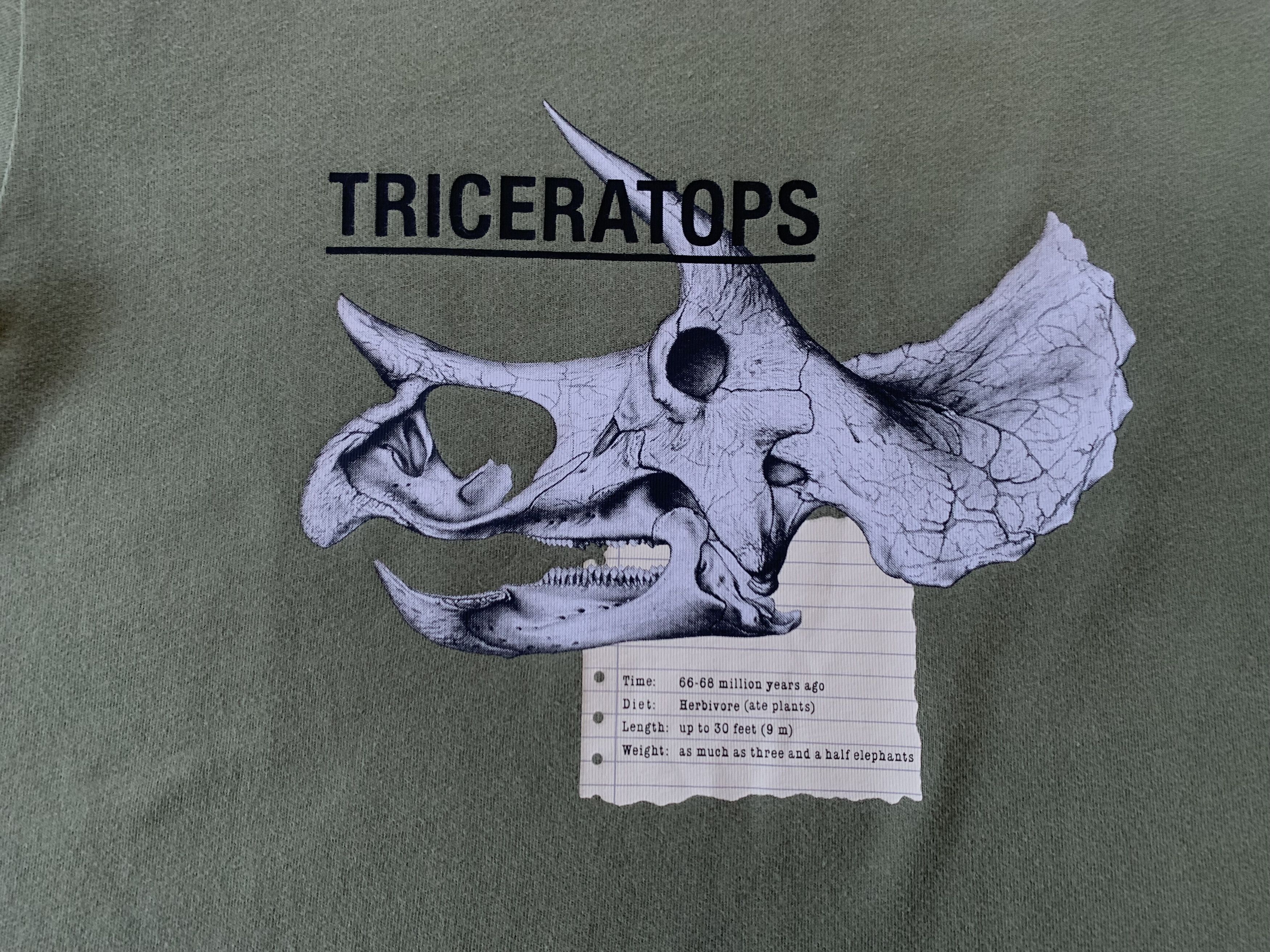 Uniqlo Uniqlo Triceratops Kids Printed T-Shirt Size US XXS / EU 40 - 5 Thumbnail