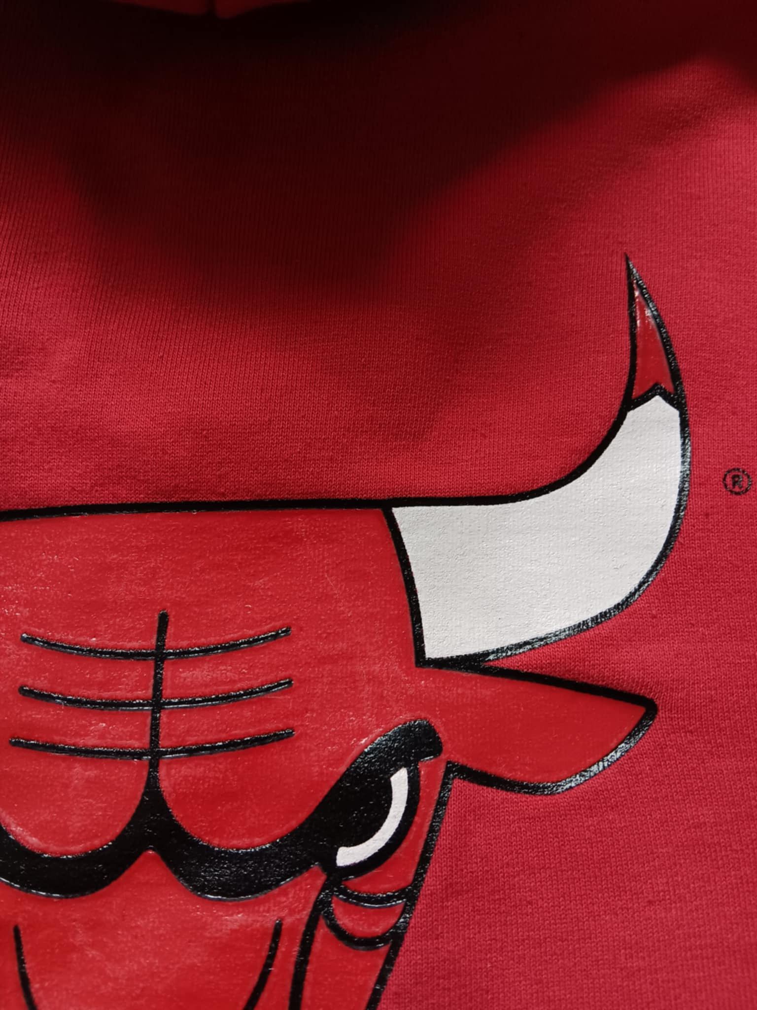 Champion × NBA × Vintage vintage champion x chicago bulls hoodie Size US M / EU 48-50 / 2 - 5 Thumbnail