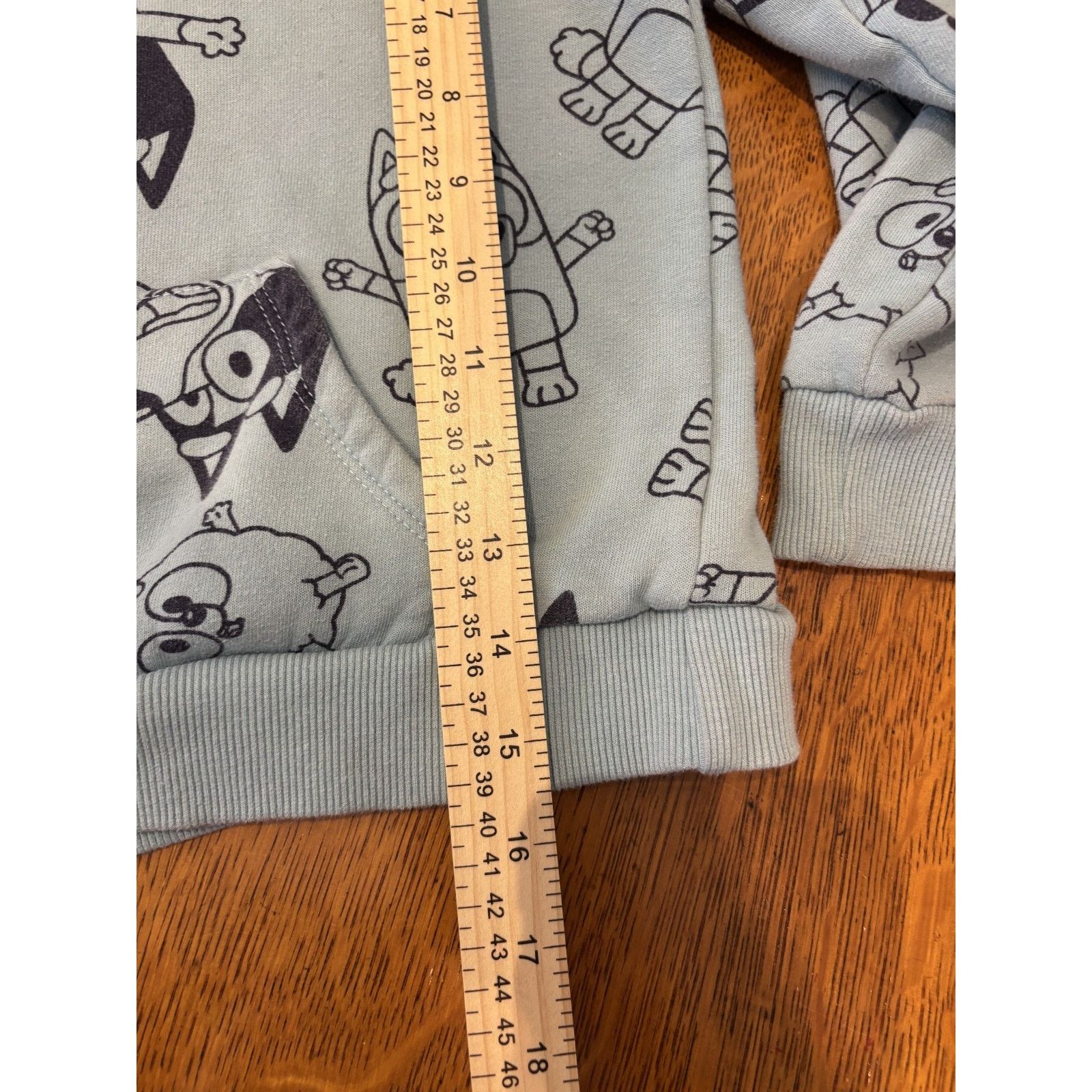 The Unbranded Brand Bluey Long SleeveHoodie Light-Blue Kids Small Cartoon Dog Size US S / EU 44-46 / 1 - 5 Thumbnail