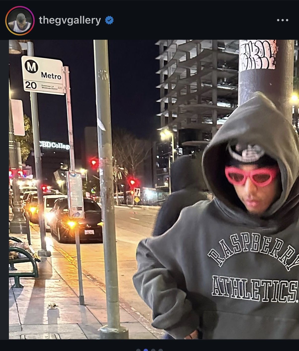 Other The GVGallery ‘Raspberry Hills’ Hoodie Size US M / EU 48-50 / 2 - 4 Thumbnail