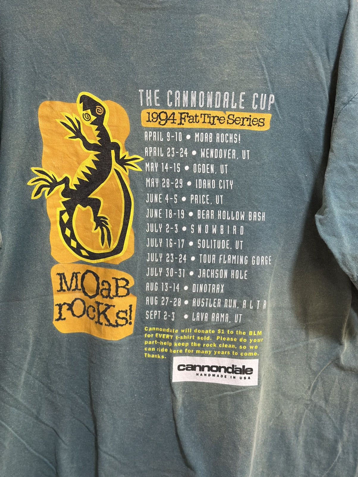 Sears Thrashed Vintage The Cannondale Cup 1994 Fat Tire Series Tee Size US L / EU 52-54 / 3 - 3 Thumbnail