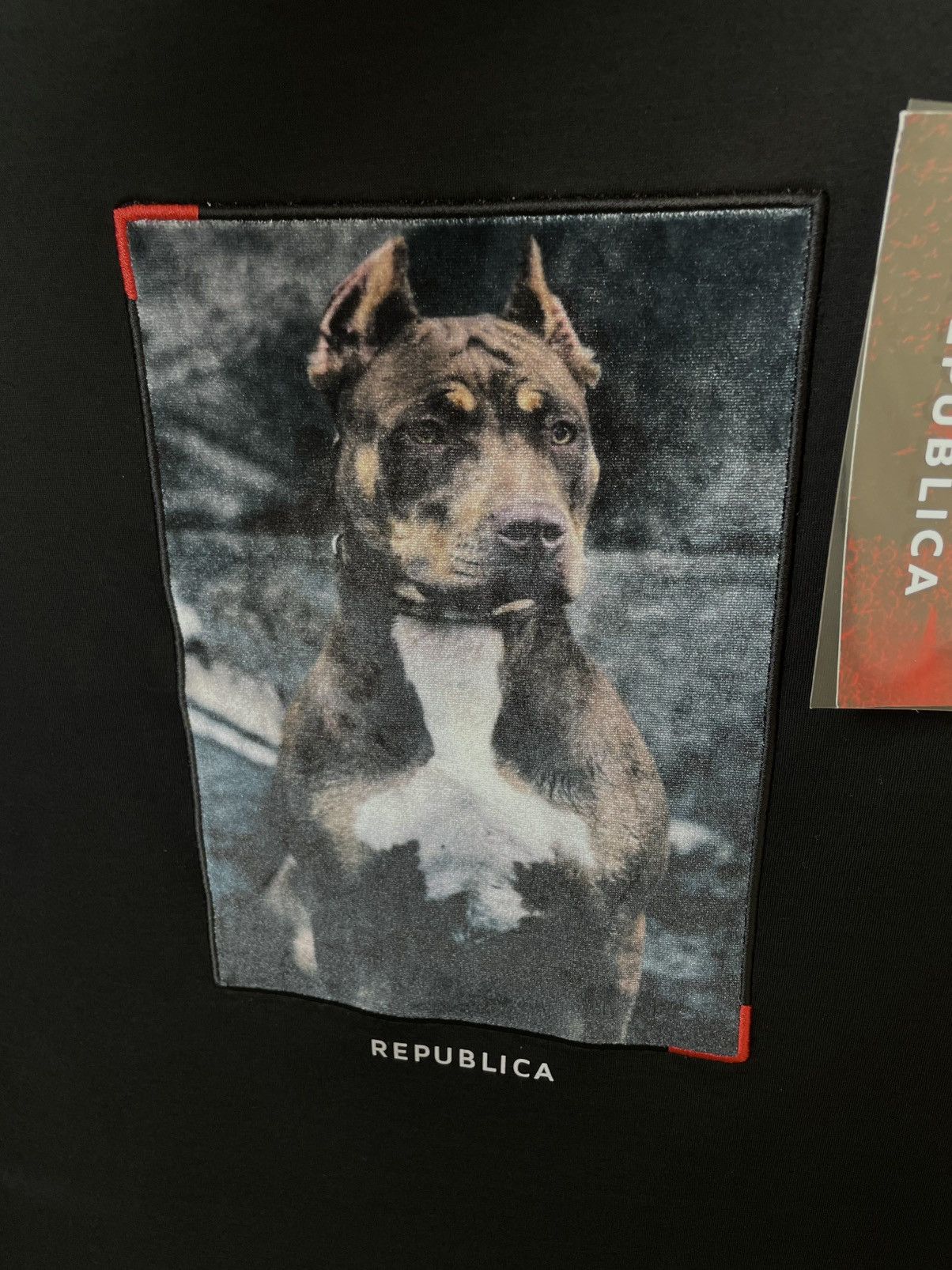 Band Tees REPUBLICA MERCERISED DOG ART TSHIRT Size US M / EU 48-50 / 2 - 3 Thumbnail