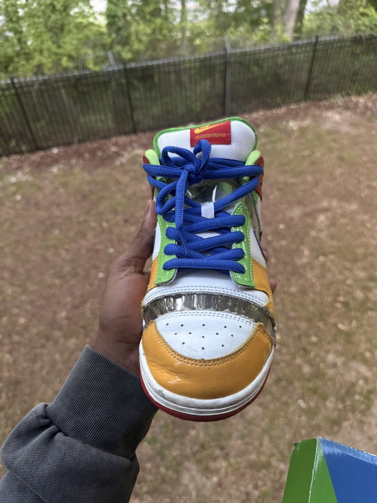 Nike Nike Sb Dunk Low Sandy Bodecker Size US 11.5 / EU 44-45 - 2 Thumbnail