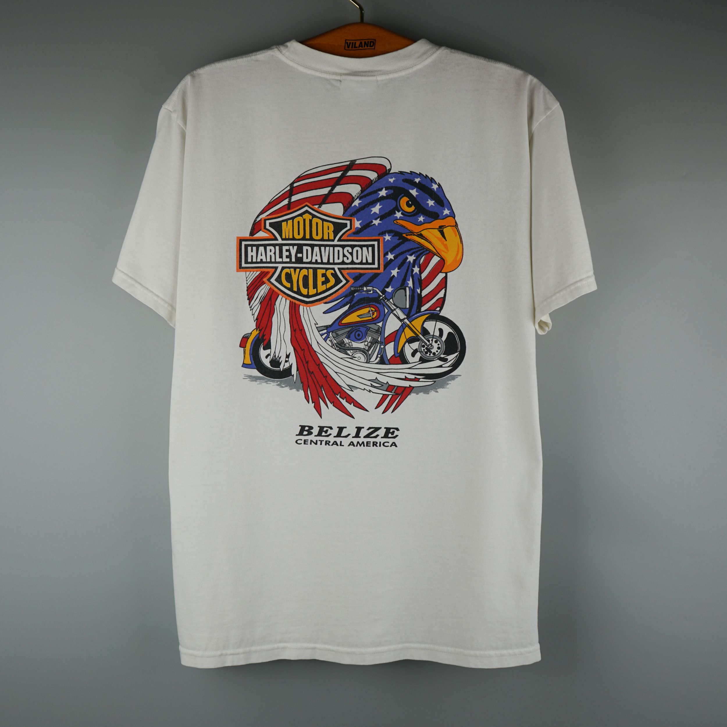 Vintage Harley Davidson T-Shirt (2010s)