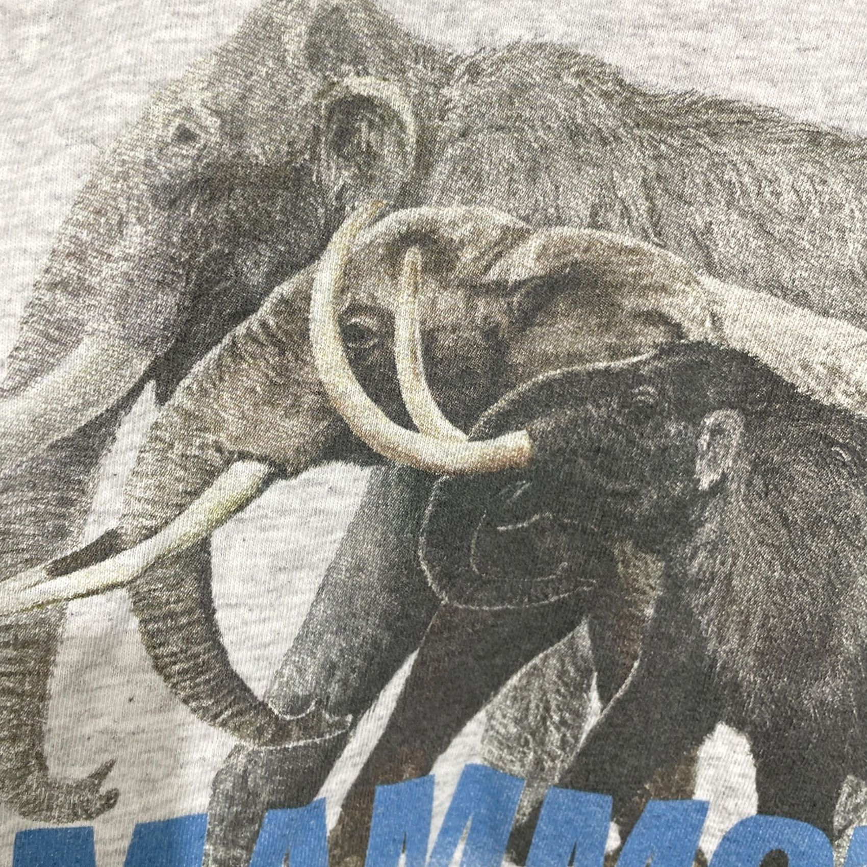 Vintage VINTAGE The Field Museum Mammoths And Mastodons Titans Of The Ice Age T Shirt XL Mens Gray Cotton Short Sleeve Crew Neck Graphic Print Logo DCT Size US XL / EU 56 / 4 - 7 Thumbnail