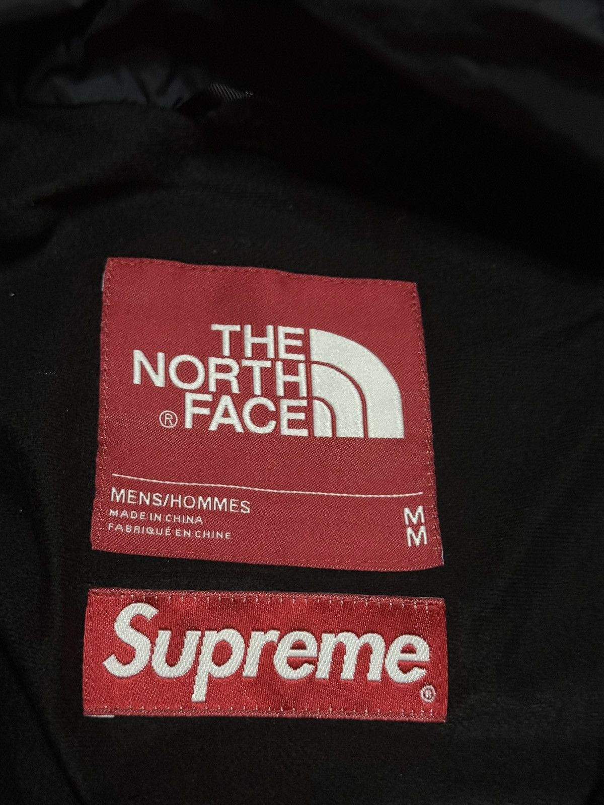 Supreme × The North Face Supreme tnf the north face leaves mountain light Jacket Size US M / EU 48-50 / 2 - 6 Thumbnail