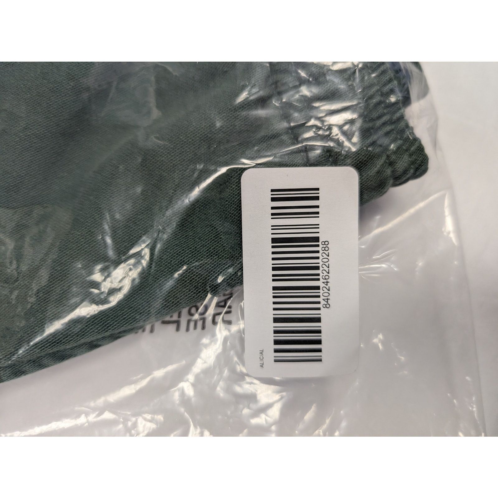Gallery Dept. o1rshd1 Zuma Shorts in Green Size US 30 / EU 46 - 17 Thumbnail