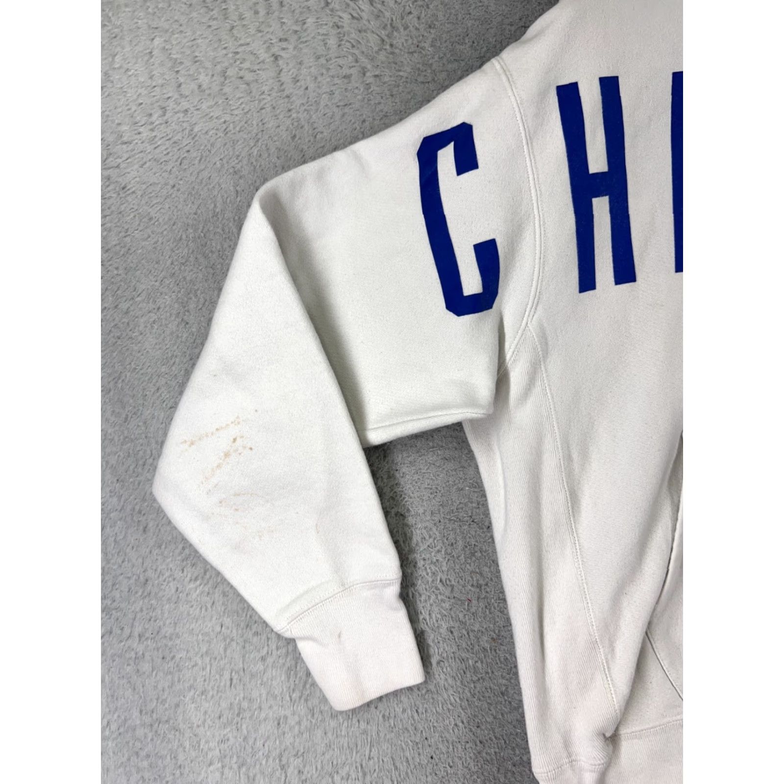 Champion Champion Hoodie Adult Large White Read Spellout READ Reverse Weave Sweatshirt Logo Vintage No Size US L / EU 52-54 / 3 - 3 Thumbnail