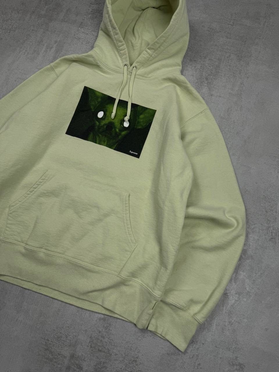 Supreme Supreme hoodie sweater pulls crazy dog Size US M / EU 48-50 / 2 - 3 Thumbnail
