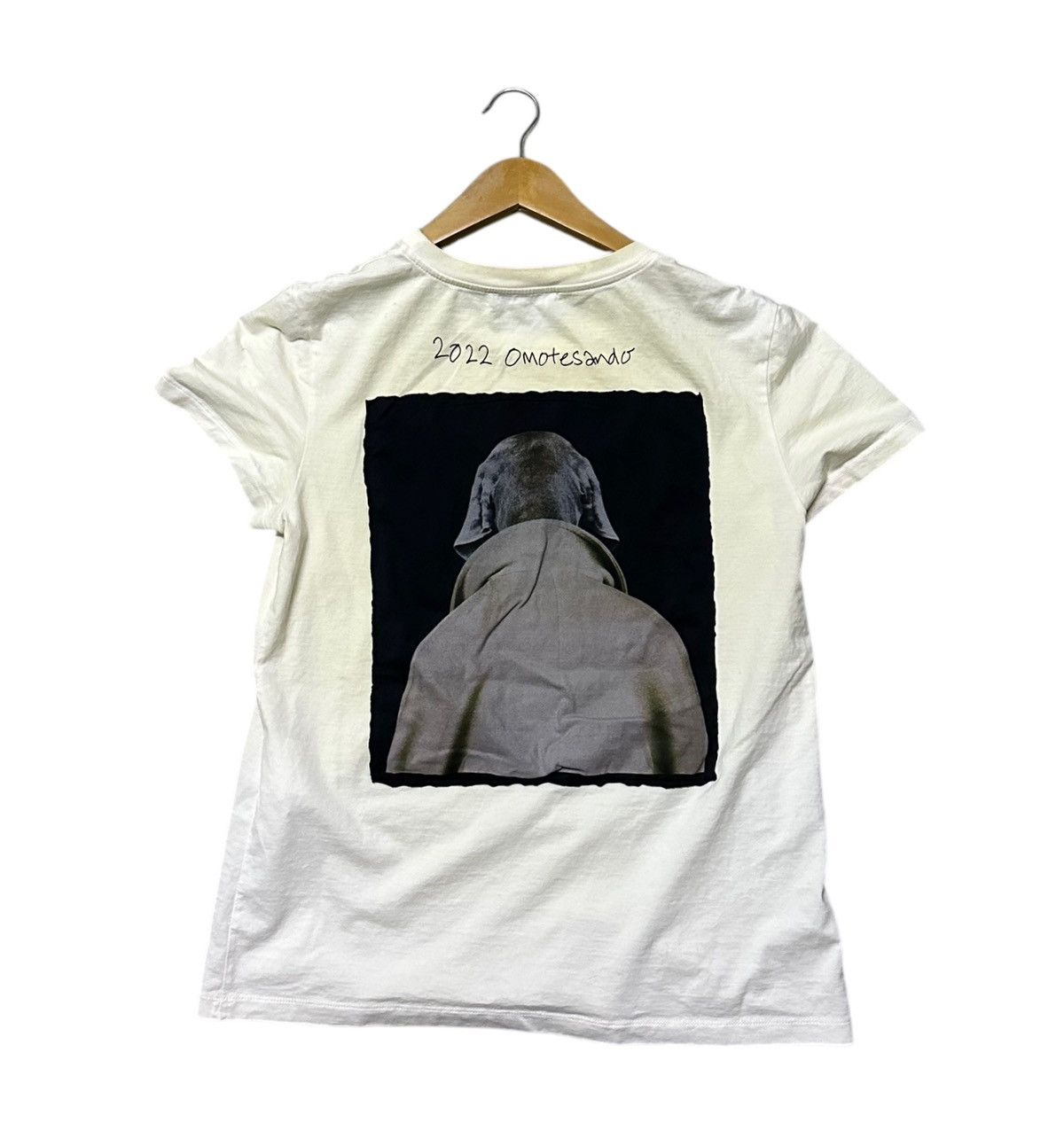 Max Mara Max Mara 2022 Omotesando Limited William Wegman Dog Photo Size M / US 6-8 / IT 42-44 - 4 Thumbnail