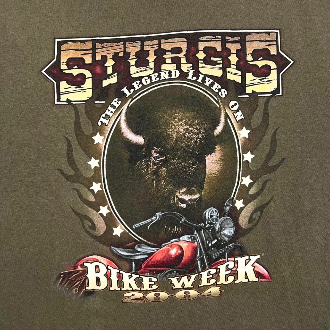 Gildan VINTAGE Sturgis Bike Week (2004) Gothic Biker Souvenir Graphic T-Shirt Large Green Size US L / EU 52-54 / 3 - 3 Thumbnail