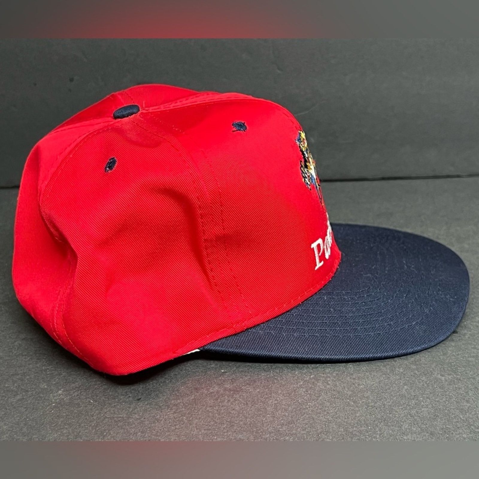 Ccm Vintage Florida Panthers Hat 90s CCM Snapback Leapin Panther Size ONE SIZE - 3 Thumbnail