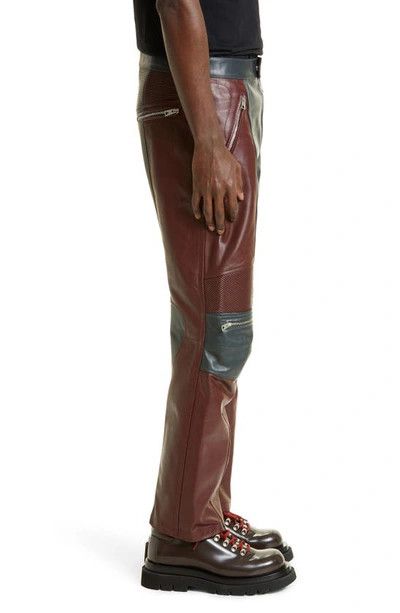 Bottega Veneta o1n1vont1224 Leather Biker Pants in Merlot / Graphite Size US 32 / EU 48 - 4 Thumbnail
