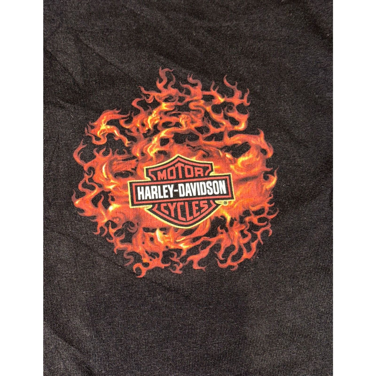 Other 👕 Harley-Davidson Northwoods Flames T-Shirt Size X-Large Size US XL / EU 56 / 4 - 3 Thumbnail
