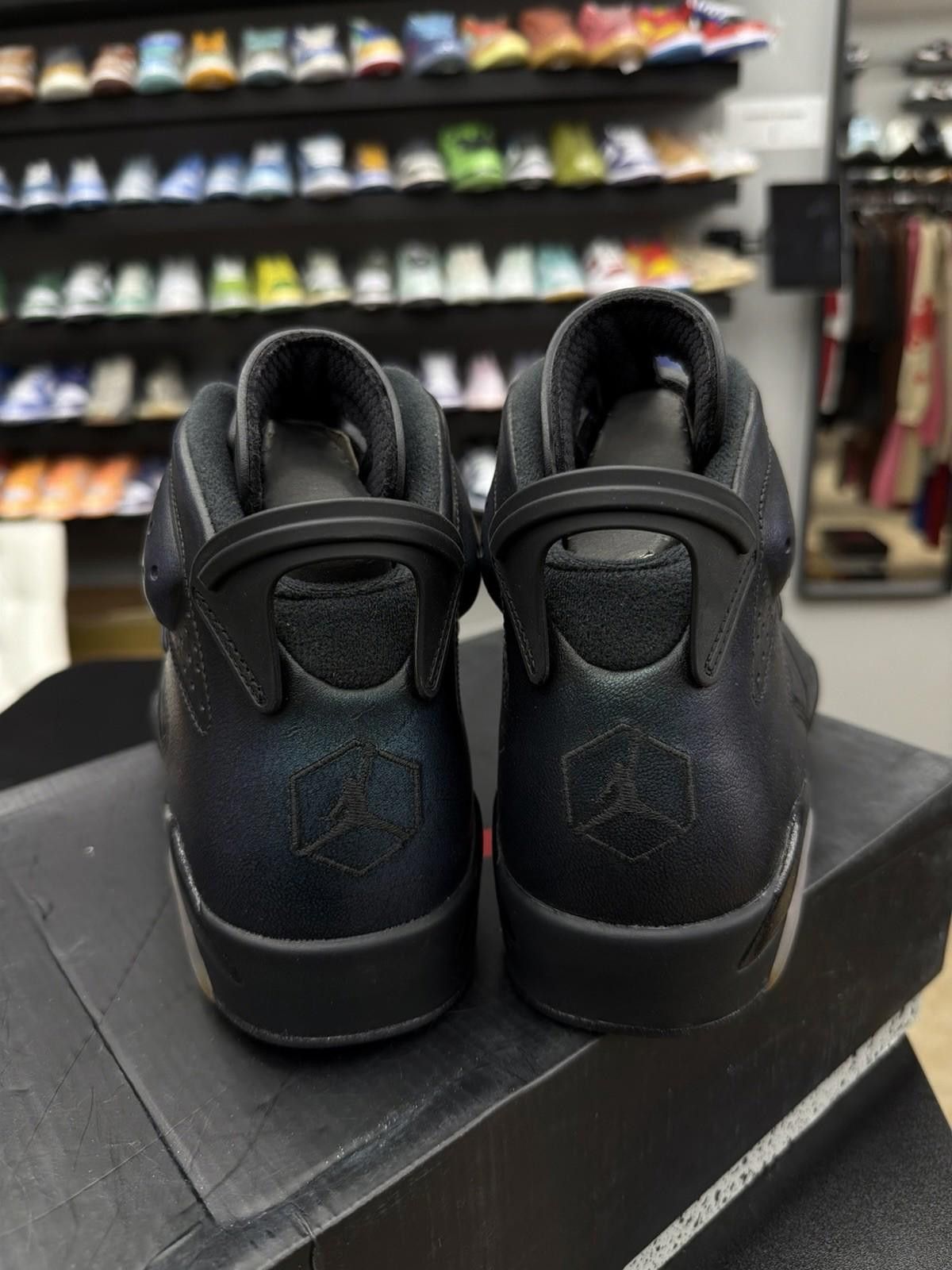 Jordan Brand Nike Air Jordan 6 All Star-Chameleon, Size 10 Brand New Size US 10 / EU 43 - 12 Thumbnail