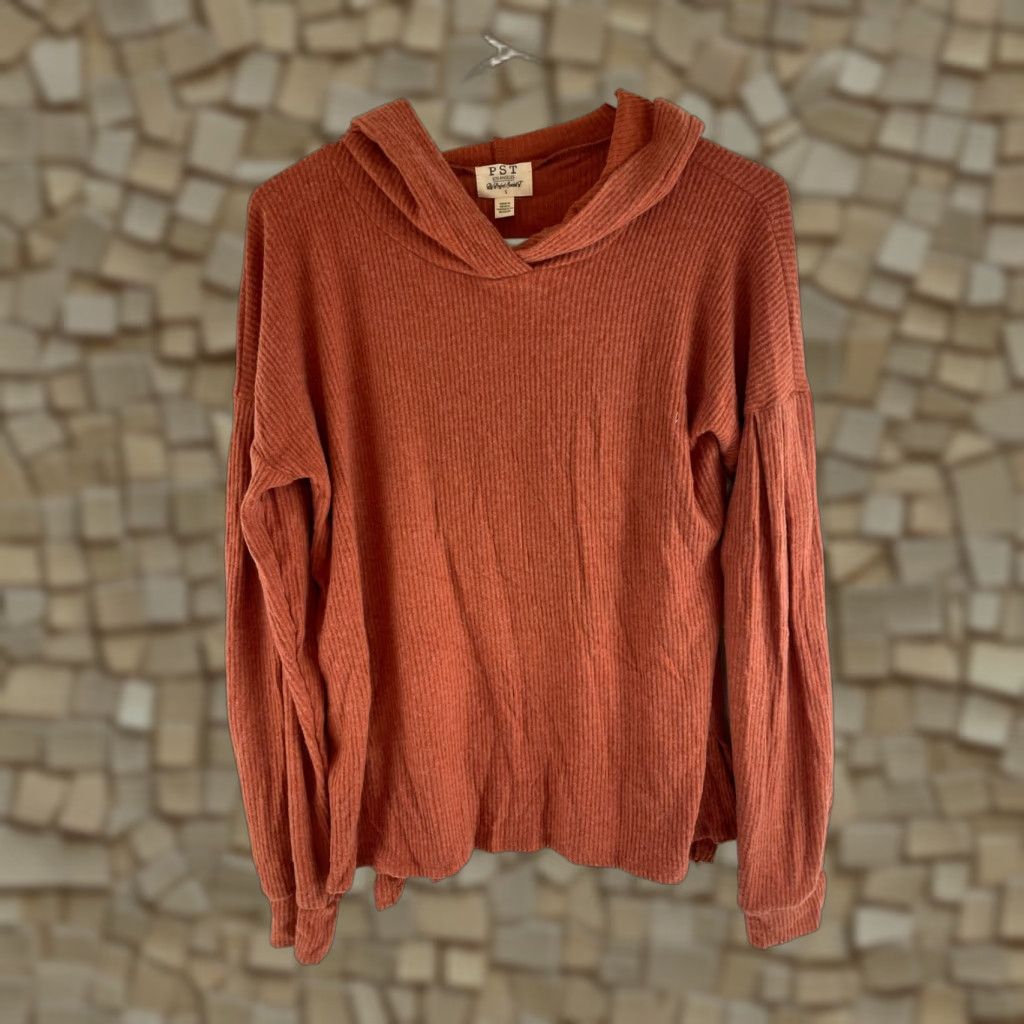 Vintage Project Social T Sweater Women Size Small Rust Orange Hooded Ribbed Soft NWT Size S / US 4 / IT 40 - 1 Thumbnail