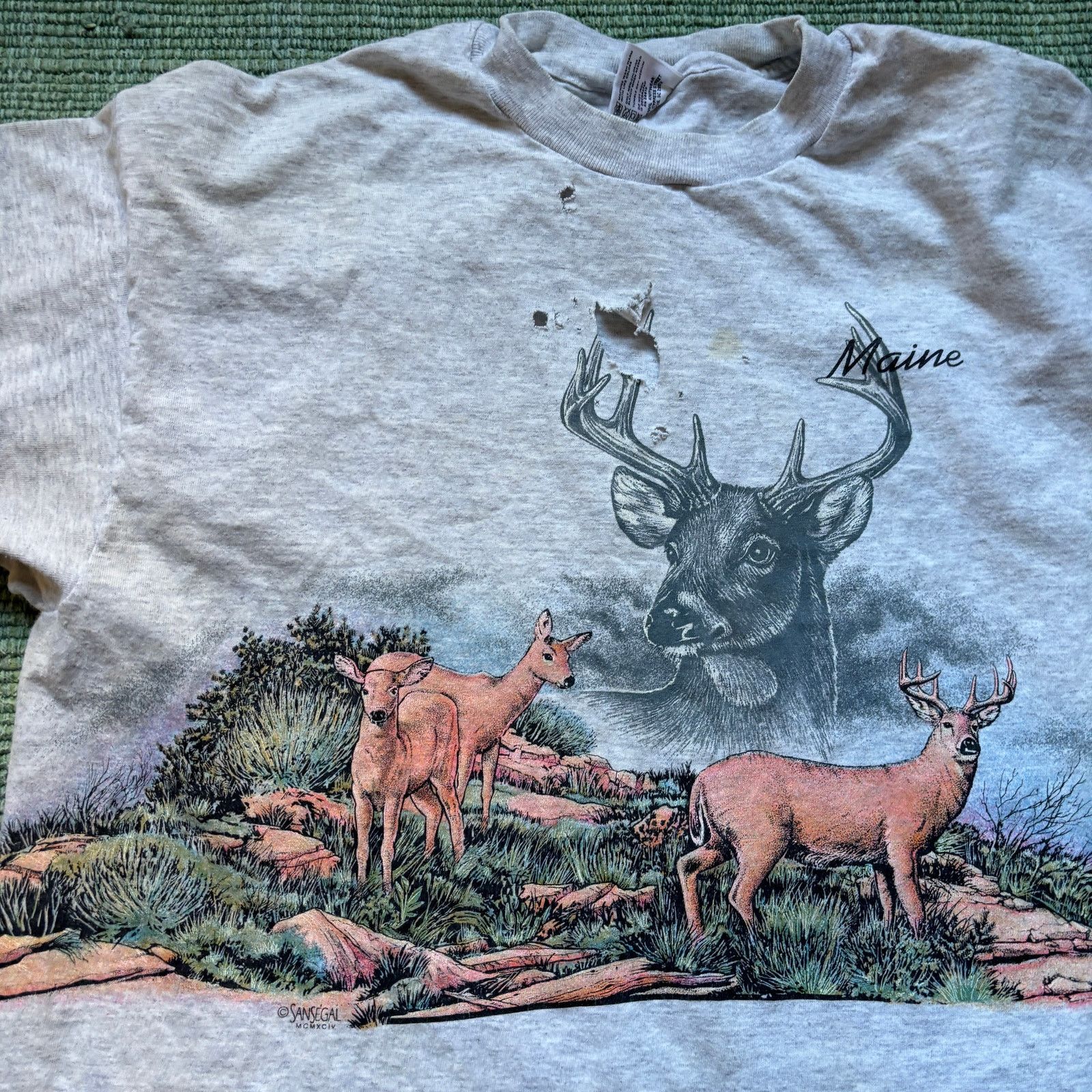 Anvil × Vintage Vintage wrap around print nature tee shirt 1990s distressed Size US XL / EU 56 / 4 - 2 Thumbnail