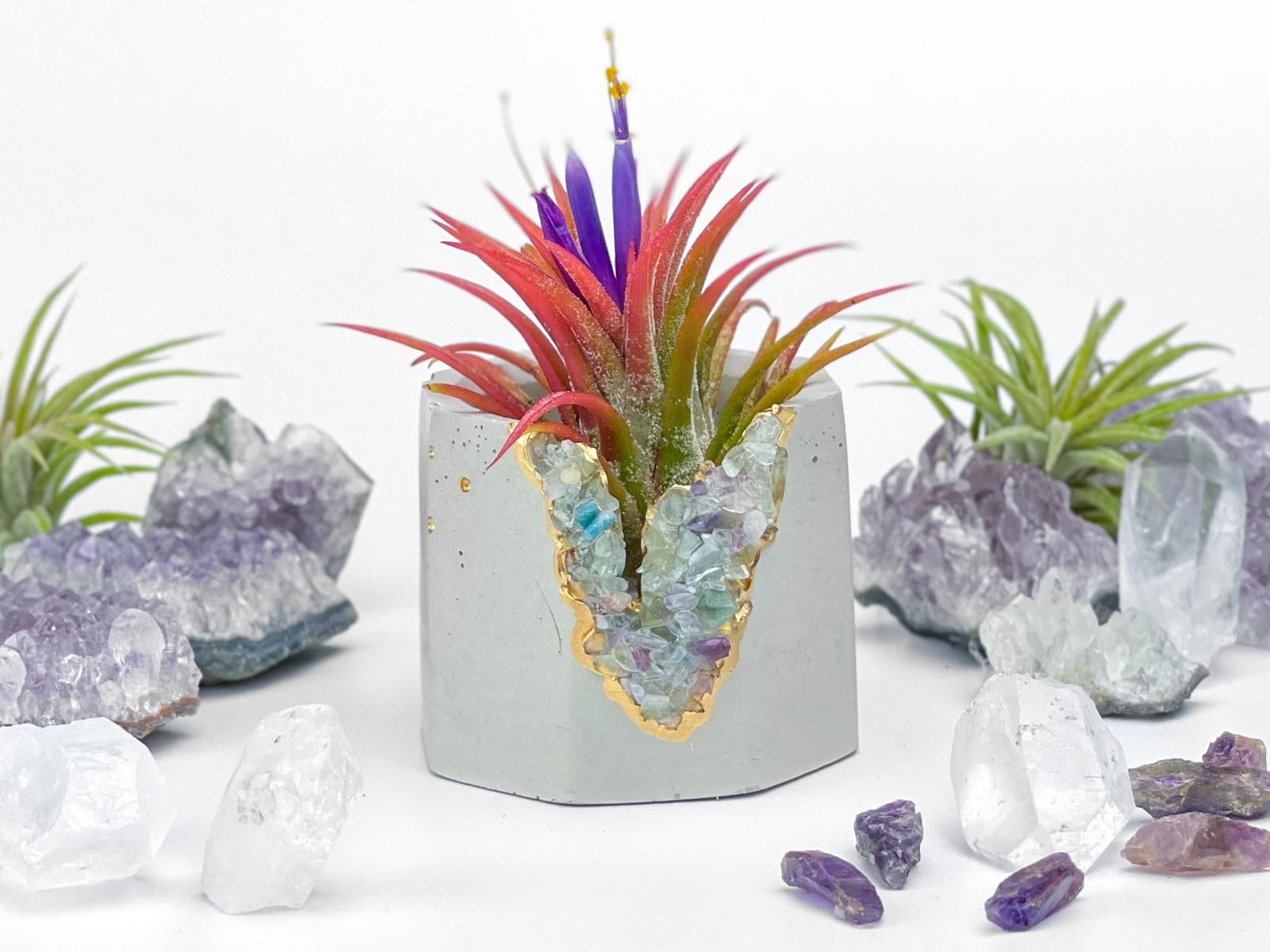 Other Succulent Pot Fluorite Crystal Planter Geode Air Plant holde Size ONE SIZE - 5 Thumbnail