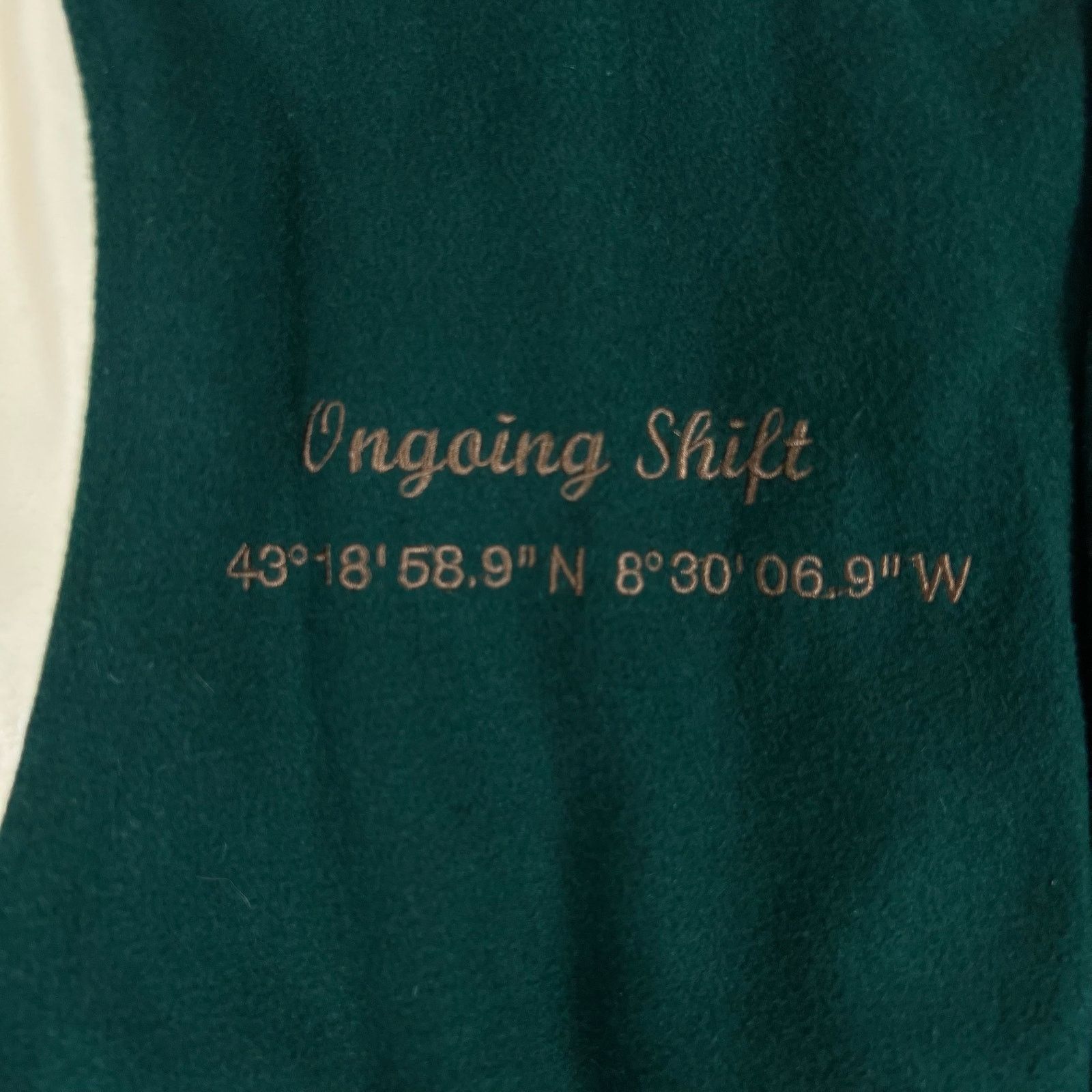 Zara Zara “Crystal Clear” Varsity Jacket XL Embroidered Cactus Size US XL / EU 56 / 4 - 11 Thumbnail