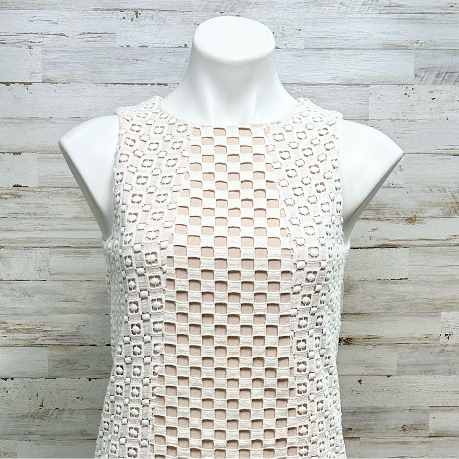 Tibi Tibi Sonoran Sleeveless Eyelet Shift Dress Size 0 Ivory Size XS / US 0-2 / IT 36-38 - 3 Thumbnail