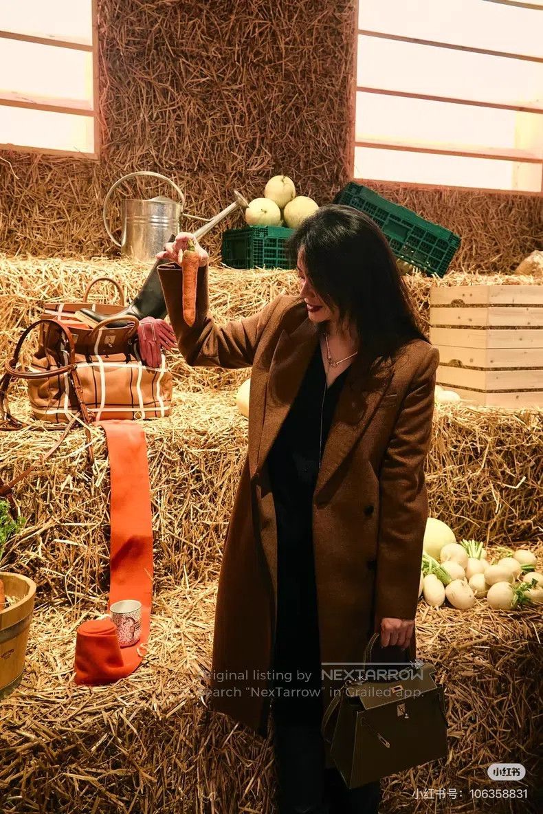 Hermes Hermes Camel Wool Coat Jacket with Classic Notched Lapel a Size XS / US 0-2 / IT 36-38 - 8 Thumbnail