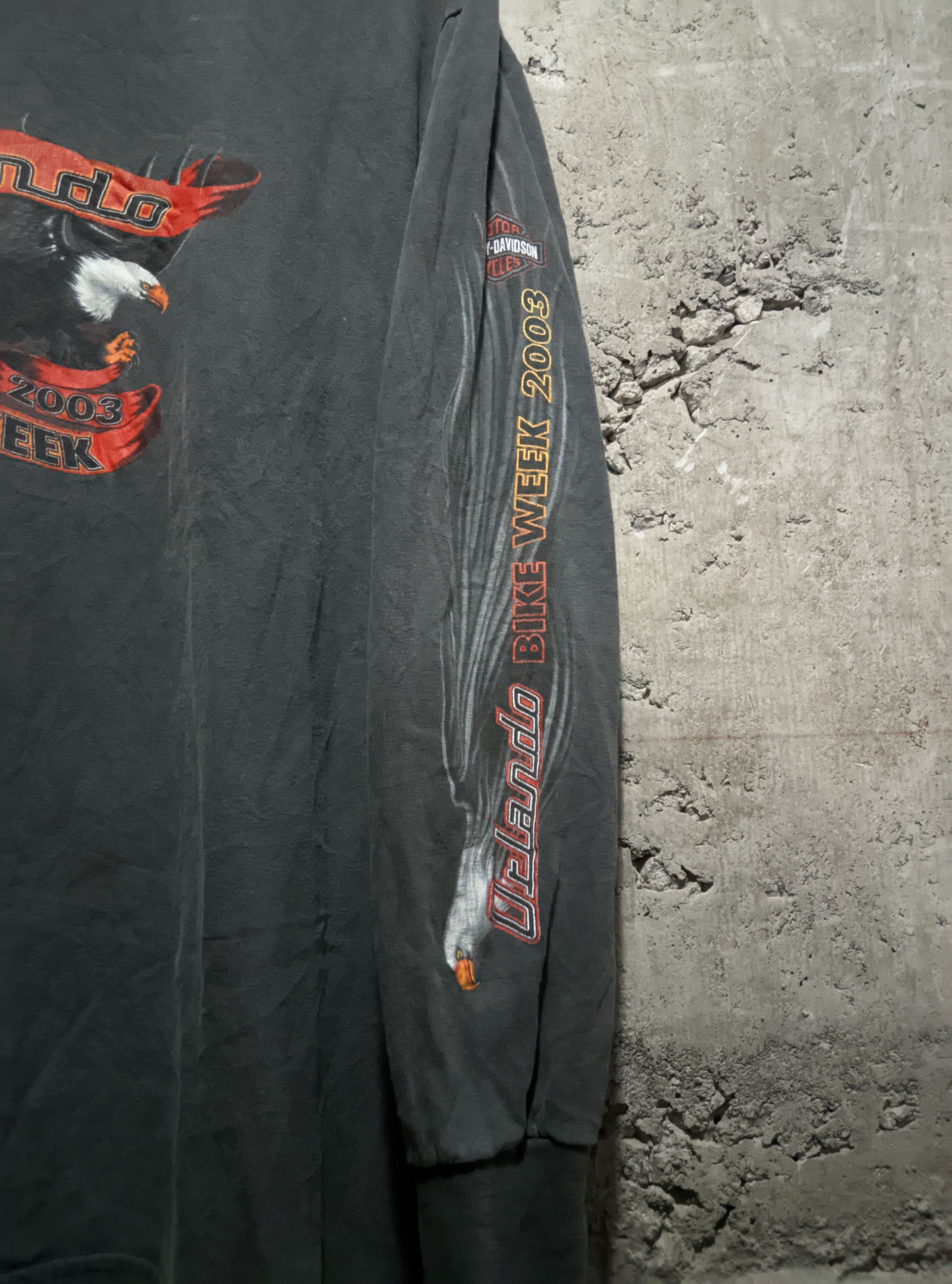 Harley Davidson Vintage 2003 Harley Davidson sleeve flame wcc sun faded erd Size US L / EU 52-54 / 3 - 8 Thumbnail