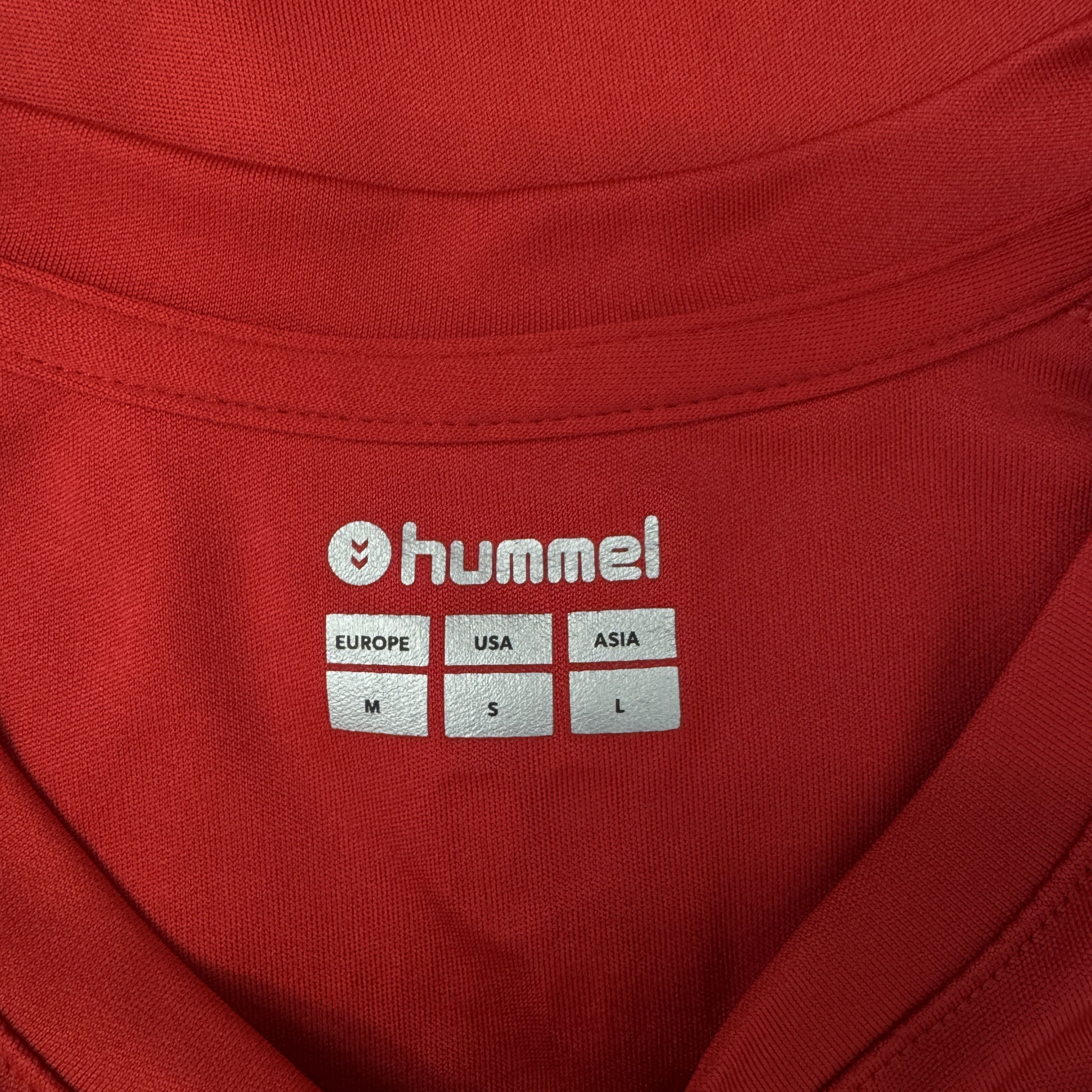 Hummel Hummel Denmark Training Football T-Shirt with Signature Size US S / EU 44-46 / 1 - 5 Thumbnail