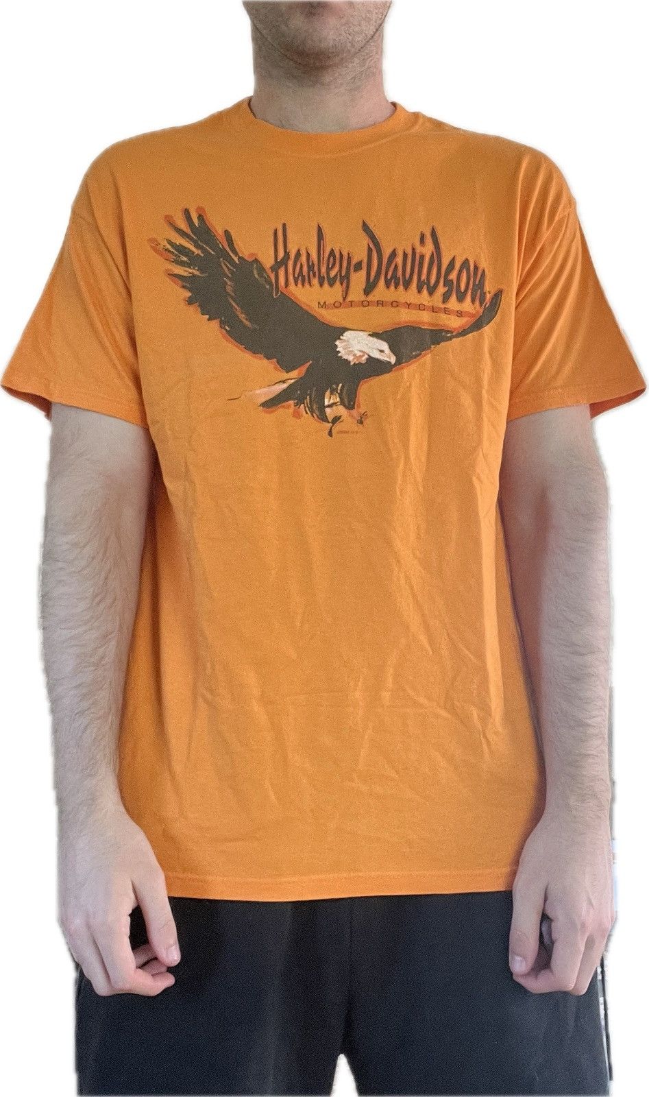 Harley Davidson 2006 Orange Eagle West Virginia T Shirt size large Size US L / EU 52-54 / 3 - 7 Thumbnail