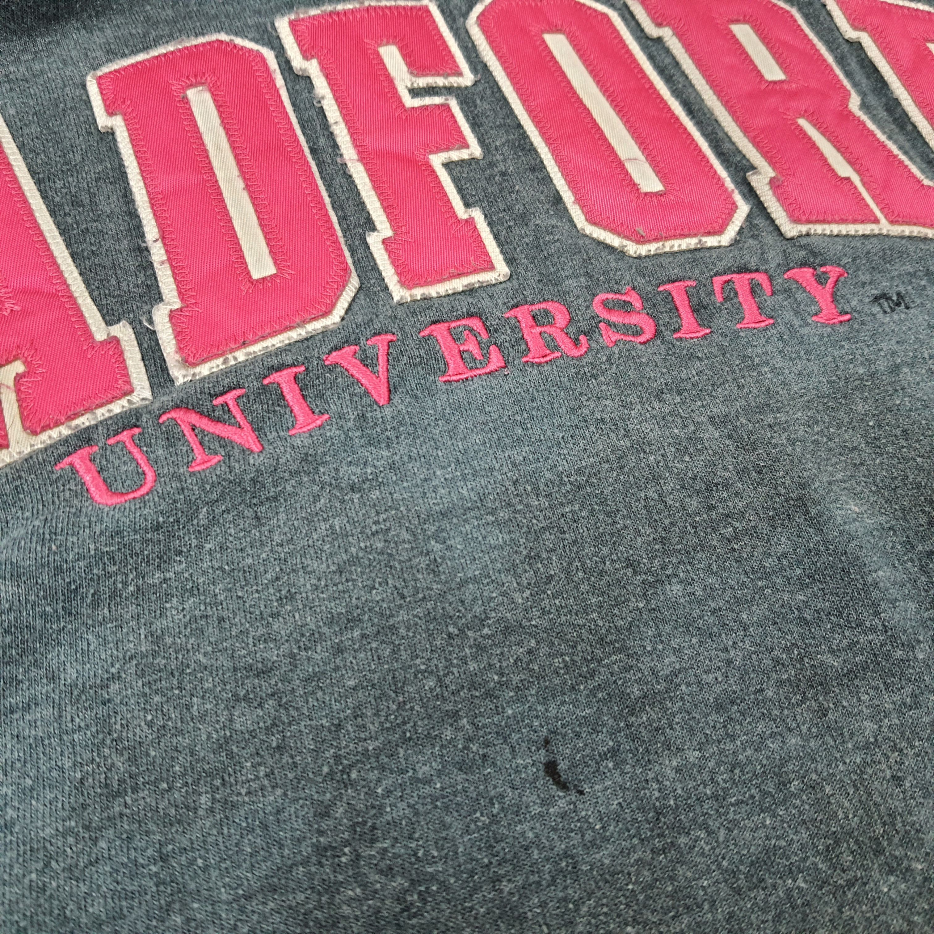 Vintage Vintage Radford University Hoodie Sweatshirt C261N9 Size US M / EU 48-50 / 2 - 10 Thumbnail