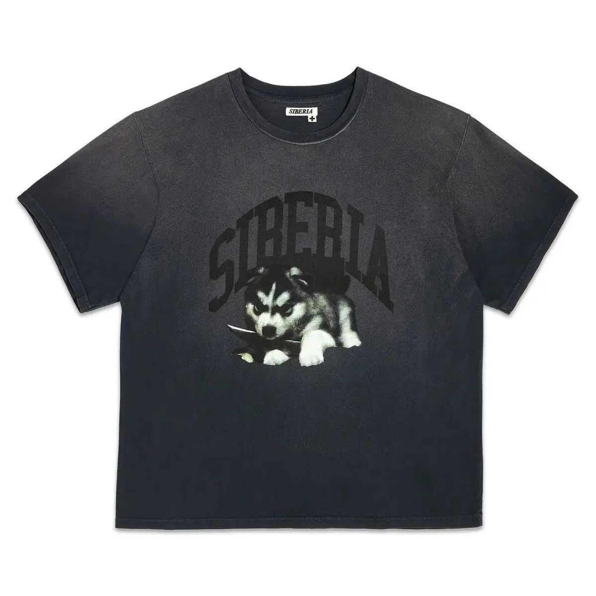 image of Siberia Hills Vintage Puppy Tee in Black, Men's (Size Small)