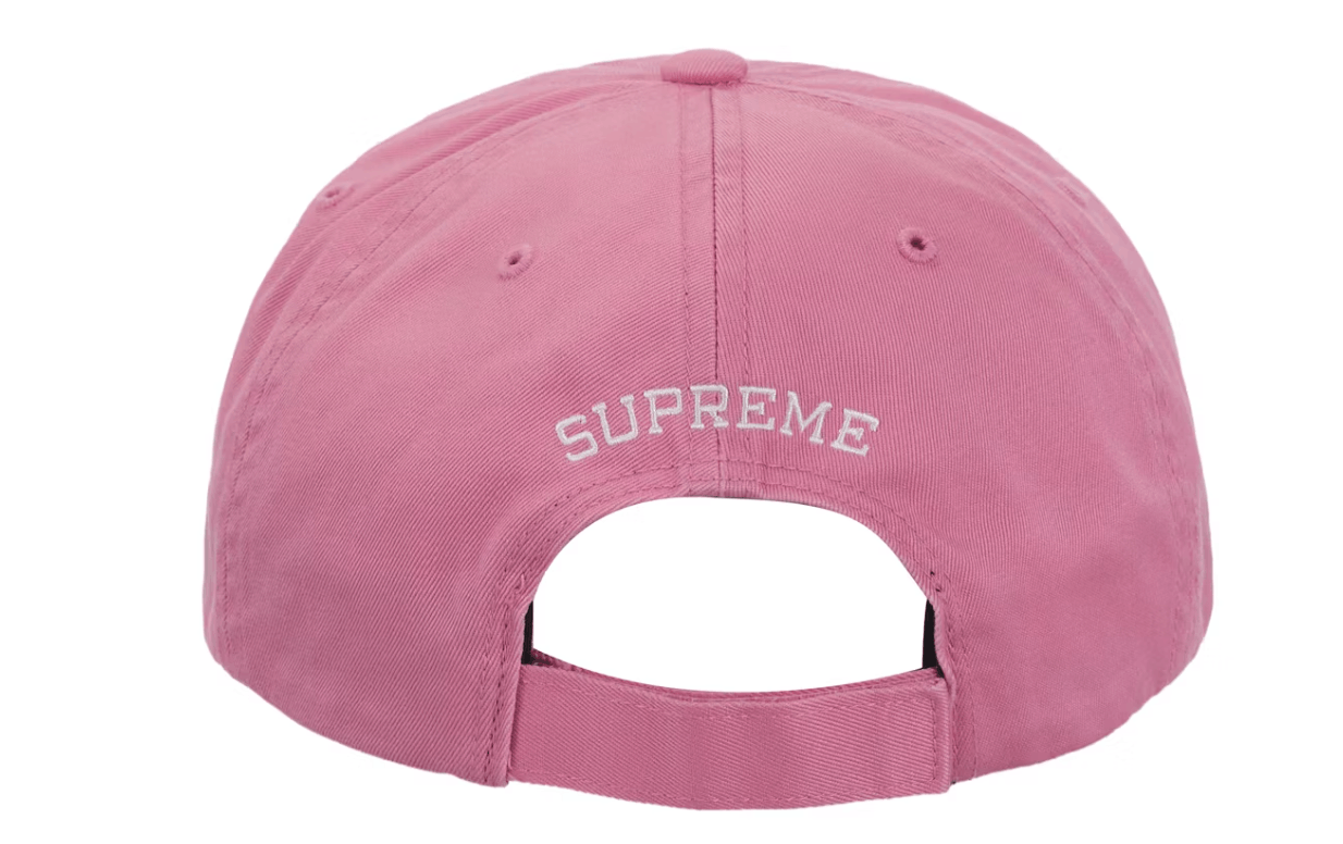 Supreme Supreme Embroidered Money Logo 6 Panel Hat Pink Adjustable Size ONE SIZE - 3 Thumbnail