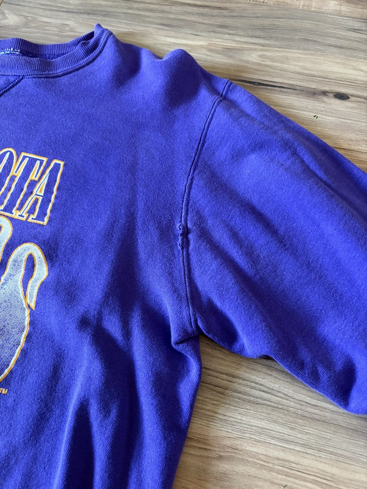 Champion Vintage champion vikings sweater Size US M / EU 48-50 / 2 - 4 Thumbnail