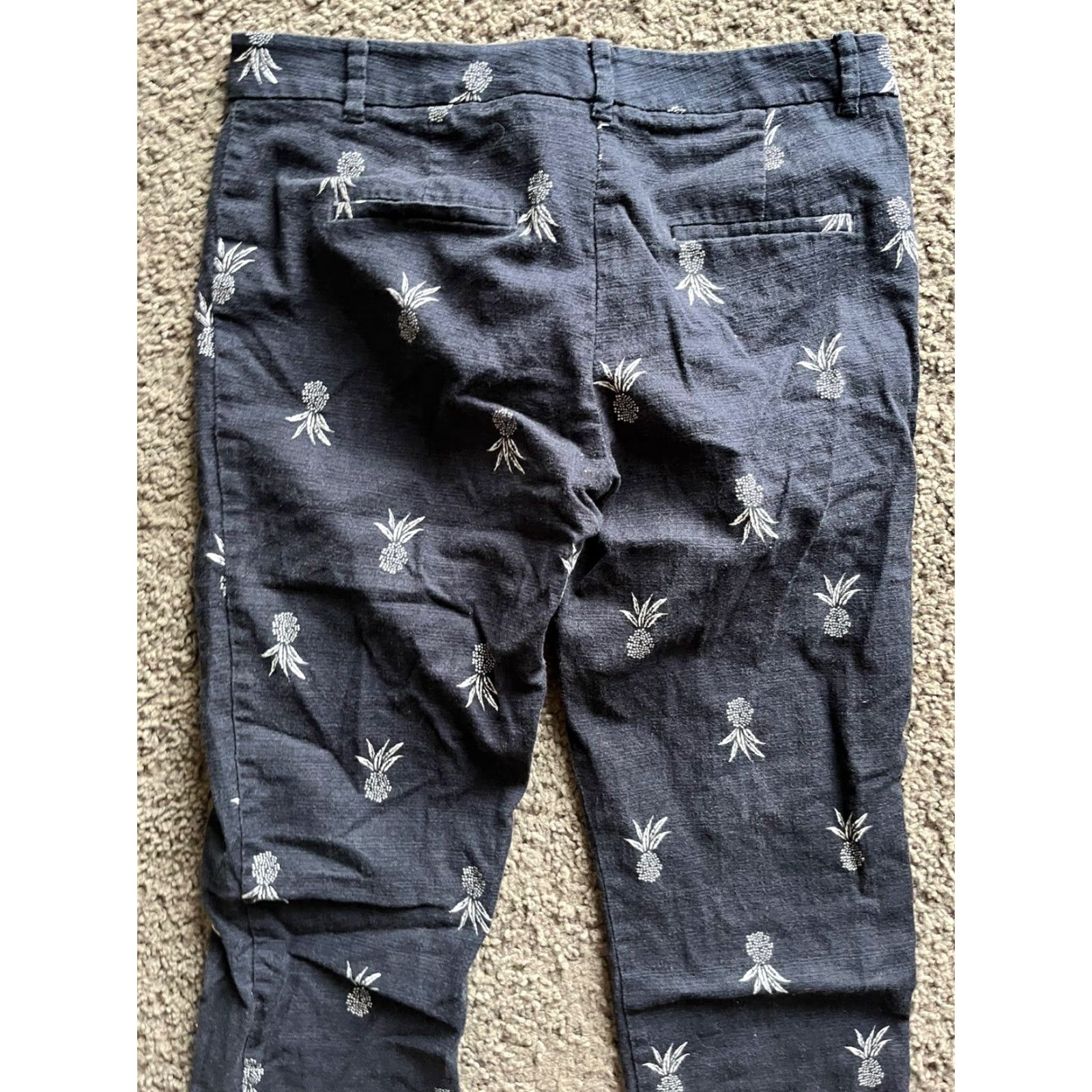 Ann Taylor Ann Taylor Pants Capri Blue Cotton Blend Twill AOP Hippie Designer Casual Travel 2 Womens Size 26" / US 2 / IT 38 - 4 Thumbnail
