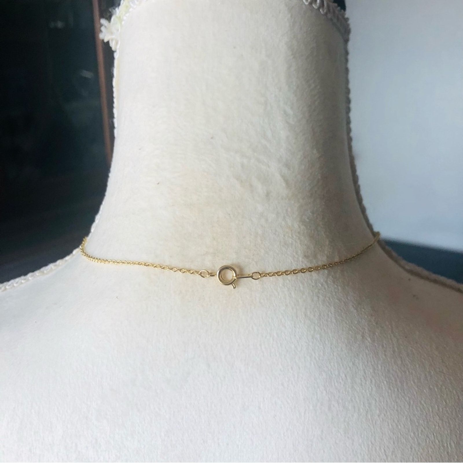 Vintage Vintage genuine garnet gold plated rolo chain necklace NWT Size ONE SIZE - 10 Thumbnail