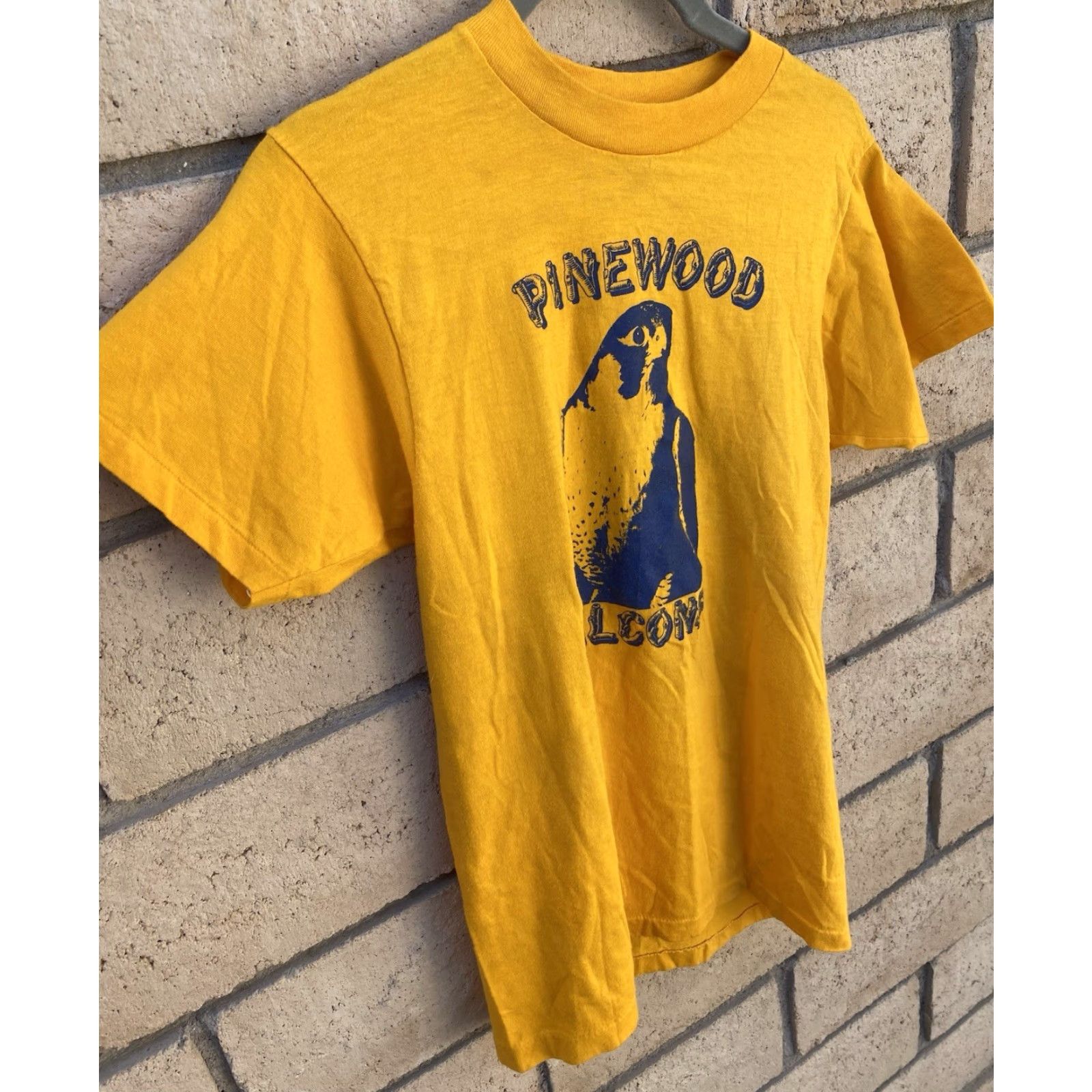 Hanes VINTAGE Hanes T-Shirt 1980s Pinewood Falcons 80s Graphic Print Short Sleeve Yellow Size S Mens Size US S / EU 44-46 / 1 - 4 Thumbnail