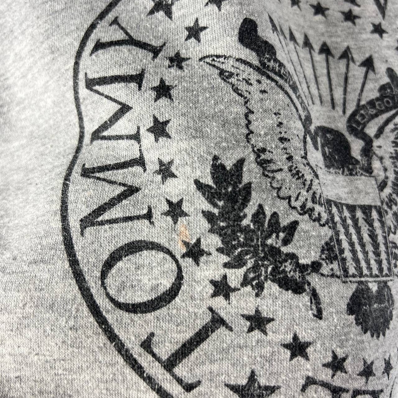 Band Tees Vintage Y2K Ramones Big Logo Rock Band Hoodie Size US M / EU 48-50 / 2 - 6 Thumbnail