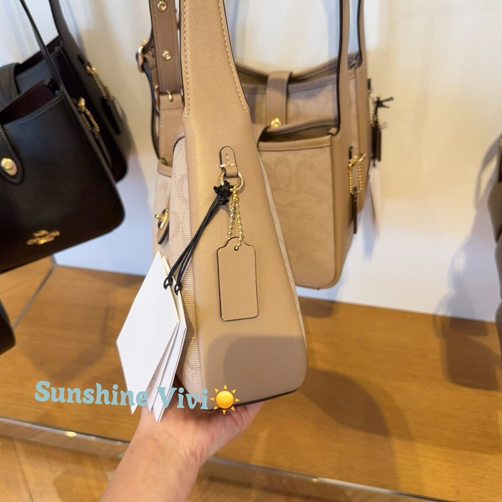 Coach NWT Coach Hadley Mini Crossbody Bag CAM80 Dark Natural Size ONE SIZE - 2 Thumbnail