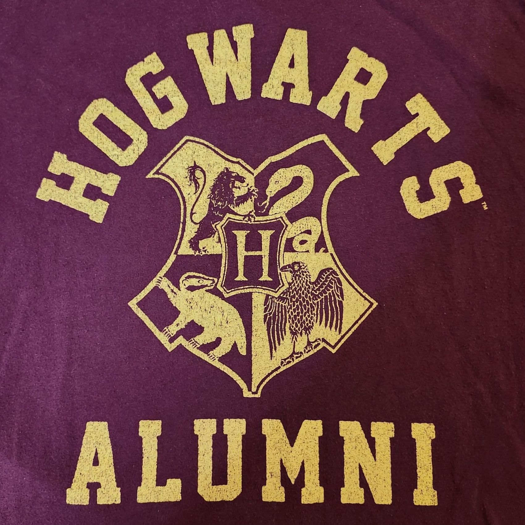 Vintage Harry Potter Shirt Mens Medium Hogwarts Alumni Seven Times Six Burgandy 100% Cotton Crewneck Short Sleeve T-Shirt Fall M Size US M / EU 48-50 / 2 - 3 Thumbnail