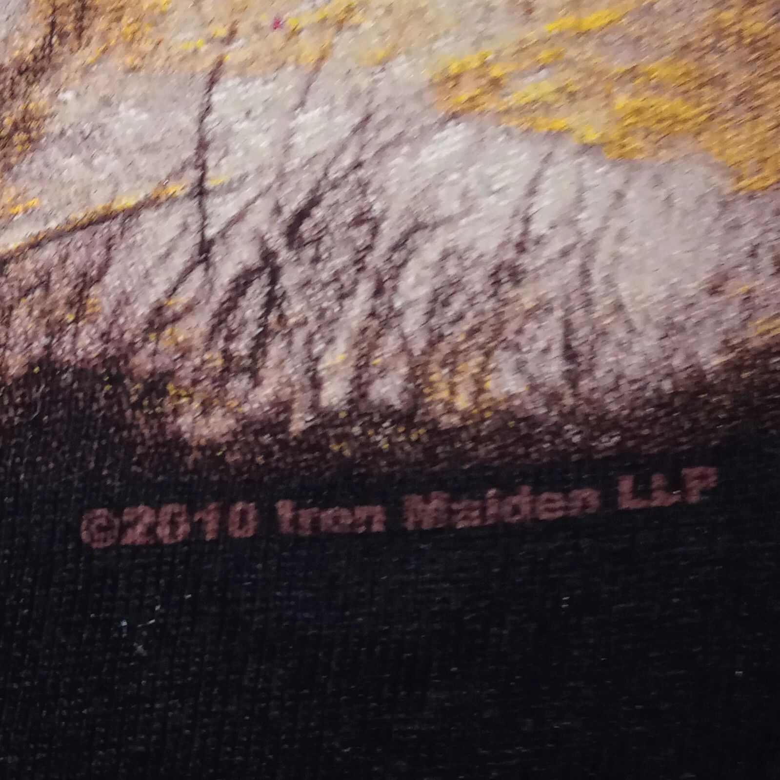 Gildan 2010 Iron Maiden "The Trooper" Band Tee Gildan Size M Size US M / EU 48-50 / 2 - 3 Thumbnail