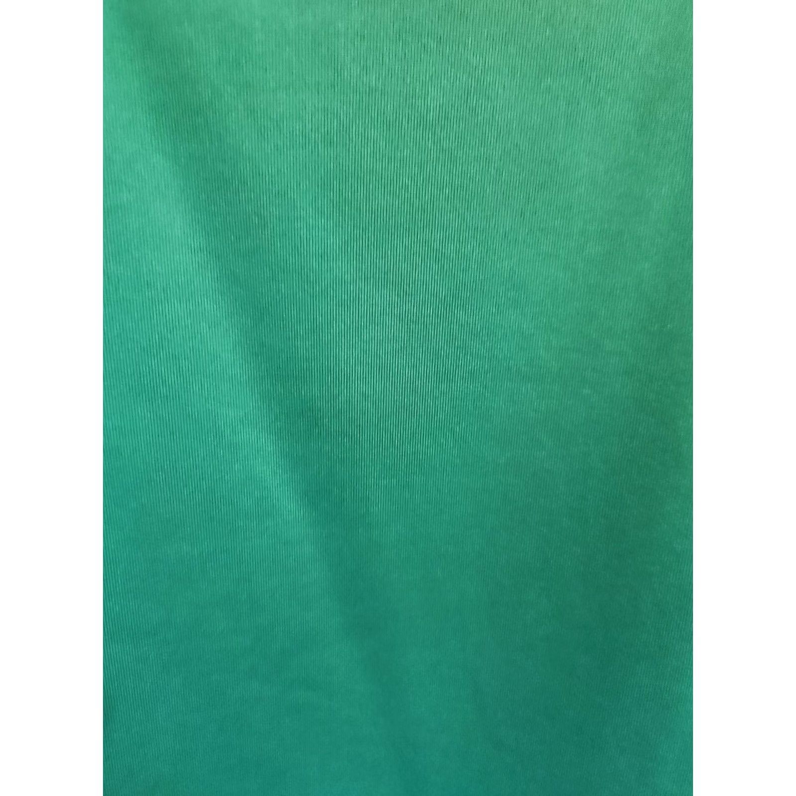Vintage Catherines Basic Kelly Green Sleeveless Silky Tank Top Shirt 3X 26 28 Shirt Tank 3X Green Womens Plus Sleeveless Basic Easy Care Size XXL / US 16-18 / IT 52-54 - 2 Thumbnail