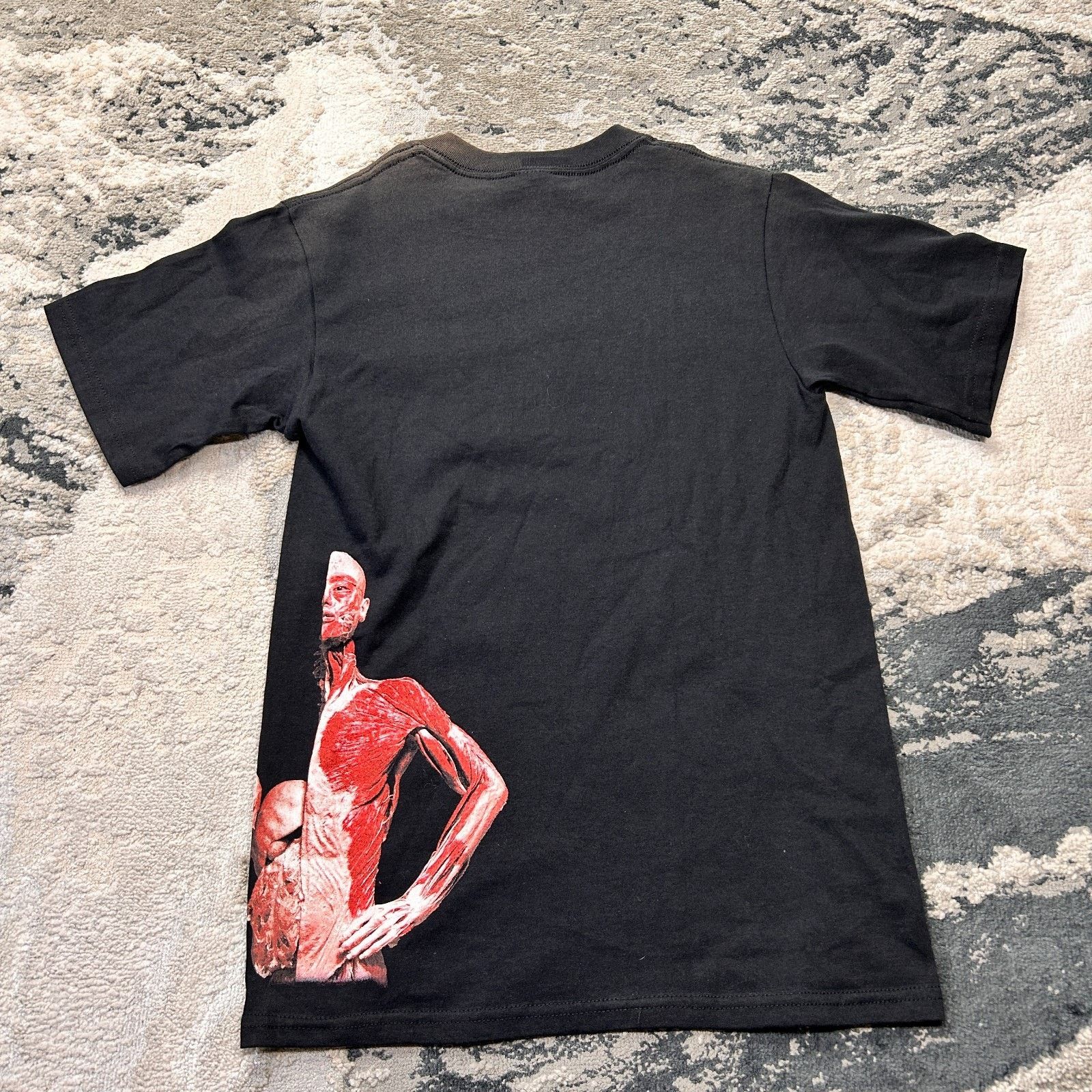 Anvil Anvil T Shirt Mens Small Black Knit Cotton Bodies Reveale Size US S / EU 44-46 / 1 - 2 Thumbnail