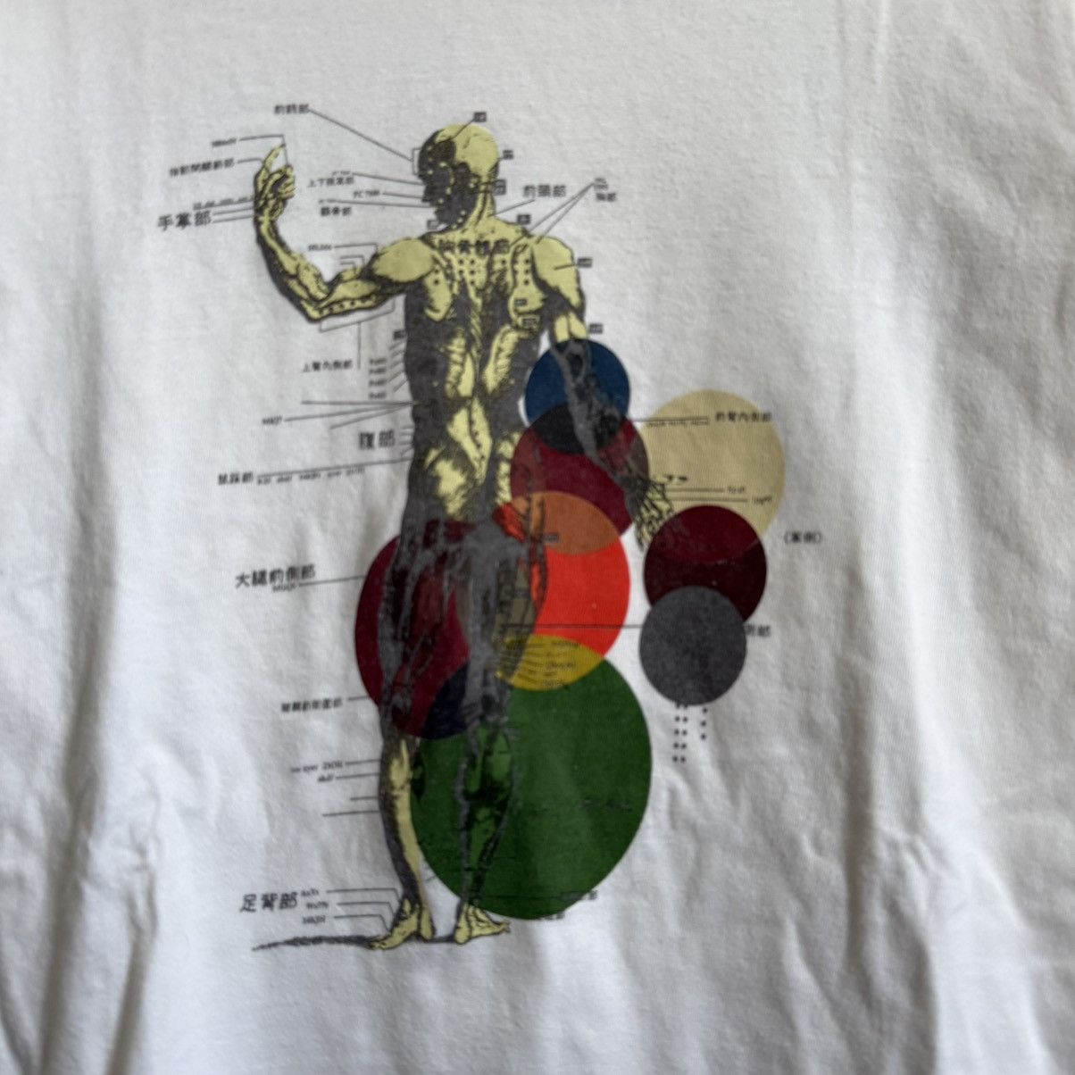 Jean Paul Gaultier Vintage JPG Jean Paul Gaultier Human Anatomy Shirt Size US S / EU 44-46 / 1 - 4 Thumbnail