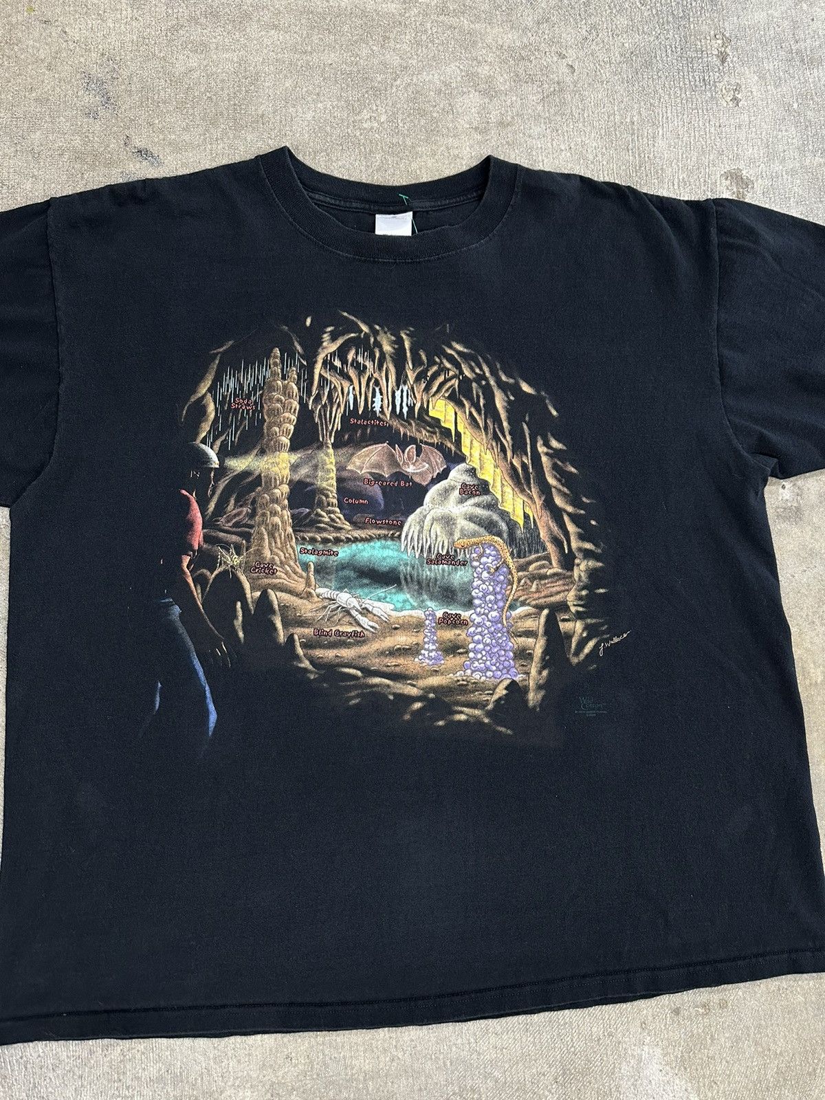Anvil × Vintage Vintage 90s Wild Cotton Bat Animal Cave T-Shirt Size US XL / EU 56 / 4 - 3 Thumbnail