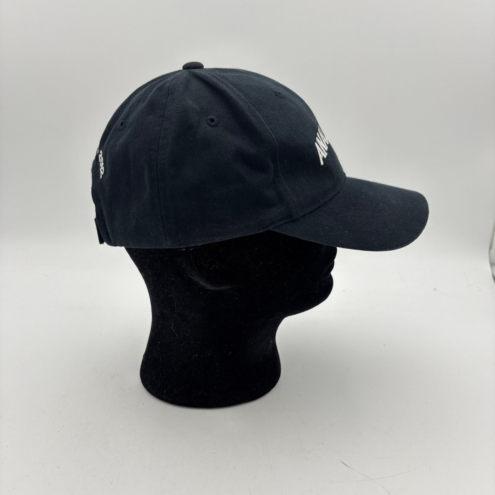 Vintage Joe Walsh Analog Man 2012 Tour Hat Baseball Size ONE SIZE - 3 Thumbnail