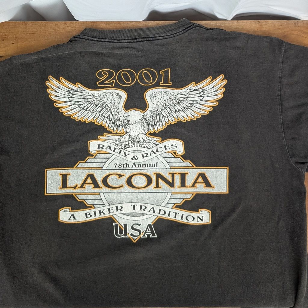 All Sport × Vintage 2001 Laconia Motorcycle Rally & Race Distressed T-Shirt XL Size US XL / EU 56 / 4 - 4 Thumbnail